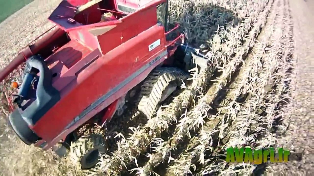 ETA VOET CASE IH 2388 à chenille et MX 310 à la moisson du maïs en 2013
