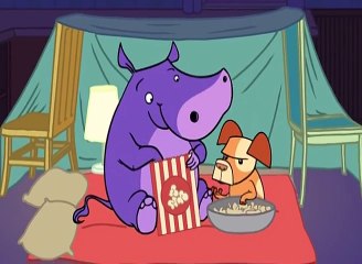 Why do some animals stay up at night