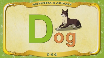 Multipedia of Animals. Letter D - Dog