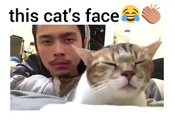 Hilarious Videos ever 2016