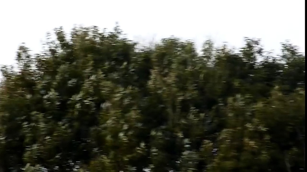 [Crosswind landing] Singapore Airlines Boeing 747-400 (9V-SPA) at NRT (Tokyo - Narita Int'l)  Crosswind Landing