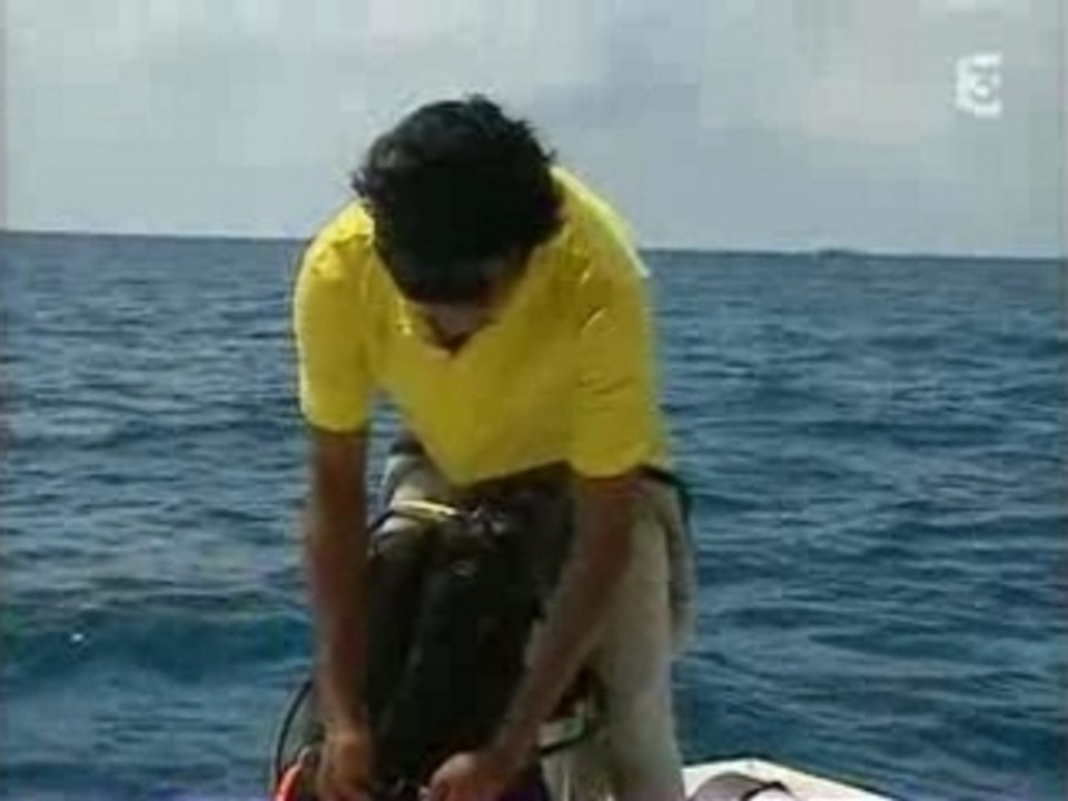 THALASSA - MADIVES 2/2