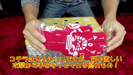 猫もぐらたたきBOXで遊ぶネコ吉　　Cat of Whack-A-Mole