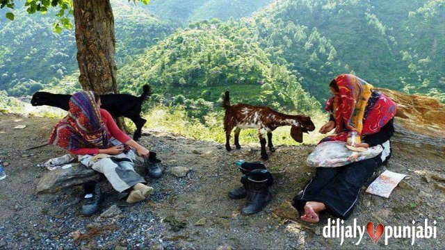 Bedard Dhola , Attaullah Khan Esakhelvi, Punjabi, Seraiki Orignal Audio Song 2016