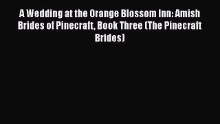 A Wedding at the Orange Blossom Inn: Amish Brides of Pinecraft Book Three (The Pinecraft Brides)