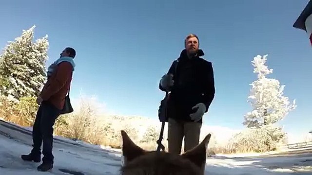 Köpeğin Çektiği Düğün Görüntüsü