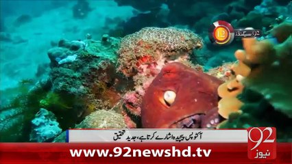92 Seconds- 30-01-16 - 92NewswHD