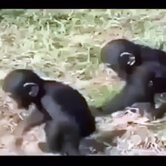 kardeş dediğin böyle olur