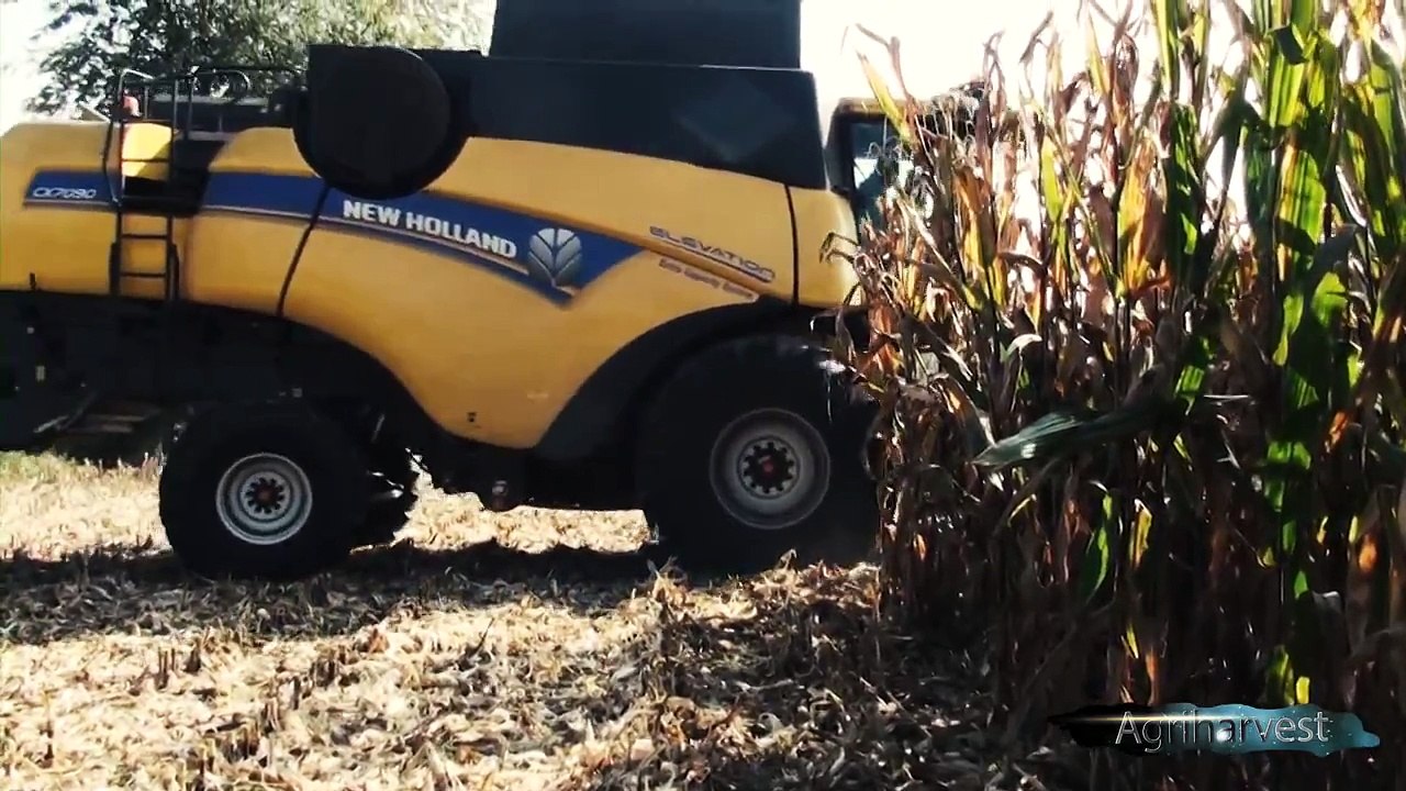 Corn harvest 2014 with New Holland CX 7090 Elevation GoPro [FULL HD]