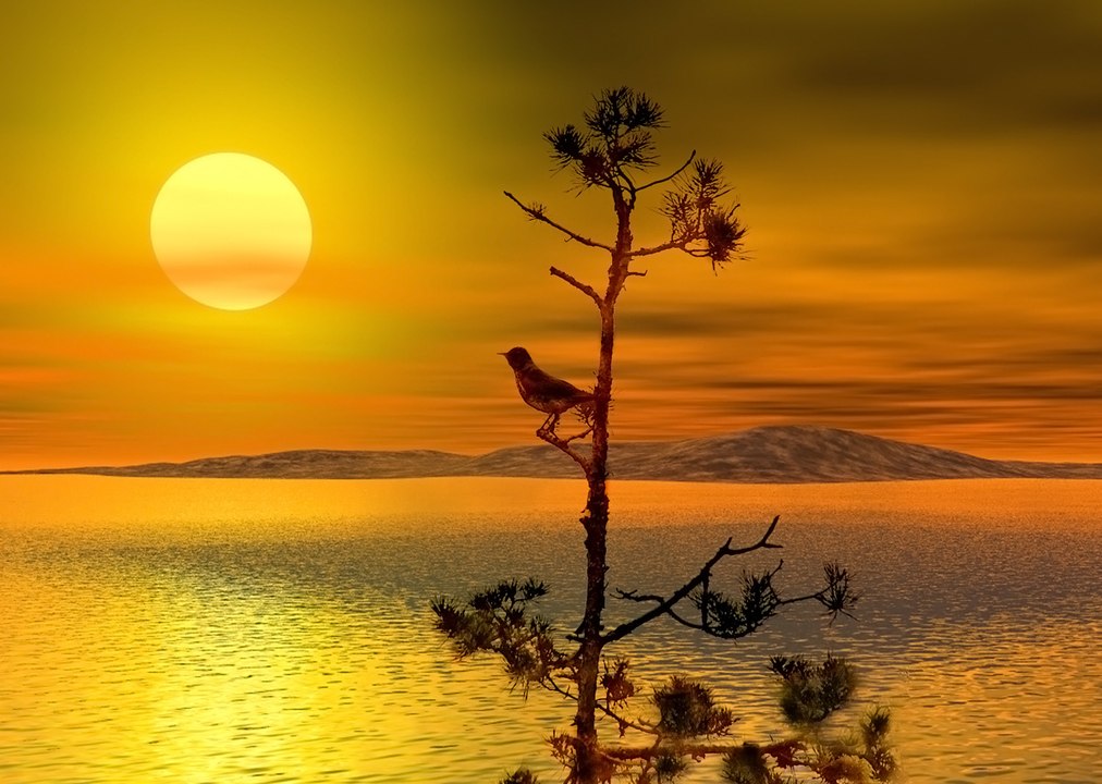 midnight stroll silk lounge