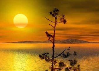 midnight stroll silk lounge