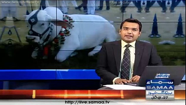 را جن پور : محکمہ لائیو سٹک کی جانب سے ایک روزہ کیٹل فارم میلے کا انعقاد ، گھوڑوں کا خوبصورت رقص ، ناچی نسل کی بکر یوں ک