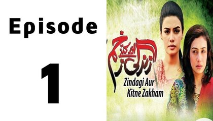 Zindagi Aur Kitne Zakham Episode 1 Full - Tvone