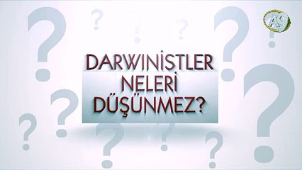 Darwinistler neleri düşünmez? -3-
