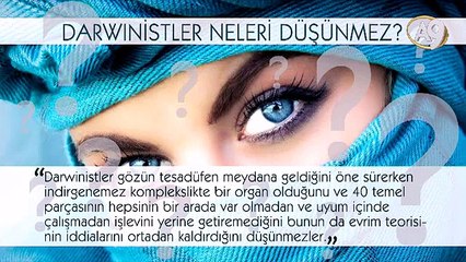 Darwinistler neleri düşünmez? -4-