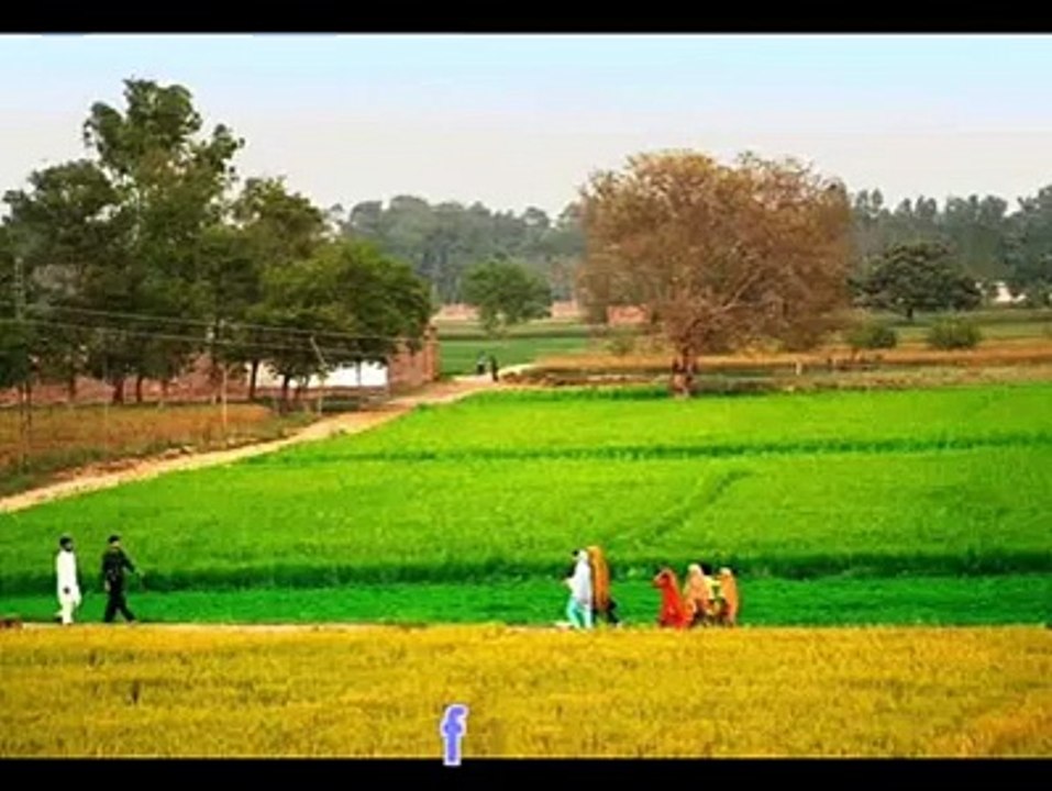 Pardesi