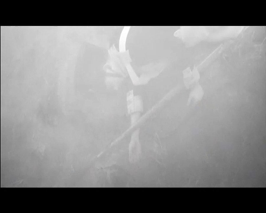 Dendrologium Trailer