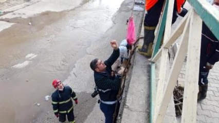 Şanlıurfa'daki Sulama Kanalında Poşet İçinde Cenin Bulundu