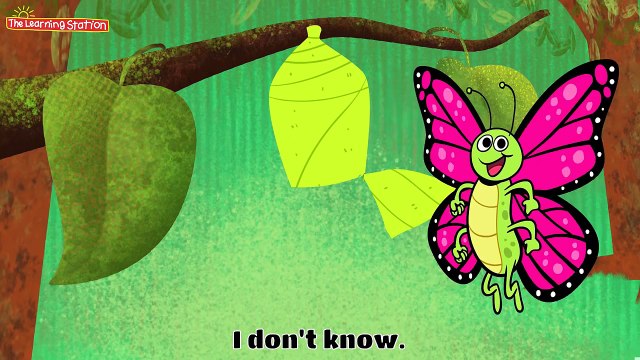 Science Song for Kids with Lyrics Children’s Learning Songs by The Learning Station