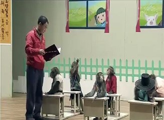 ab to bander b classain lainy lagain hain very funny video