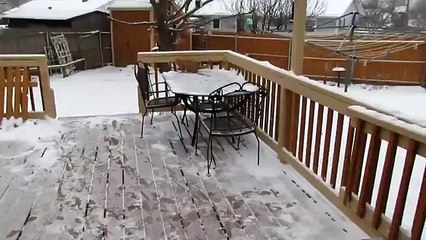 Рыжий кот на заснеженном дворе