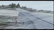 [FSX] B737-800 Crosswind Landing @Bergen Flesland - Norway  Crosswind Landing