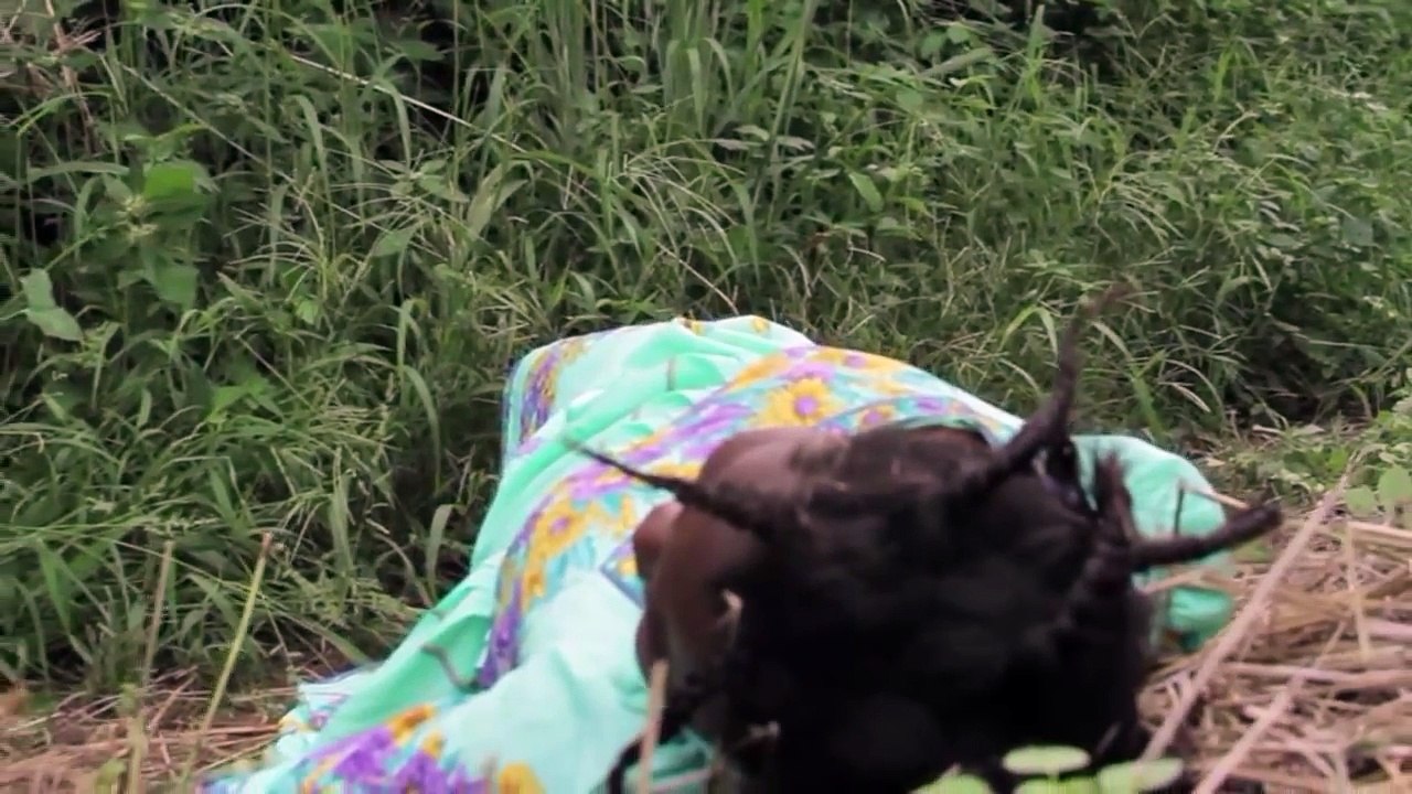 AYE HUHUUHU 2- Latest 2015 Asante Akan Ghanaian Twi Movie