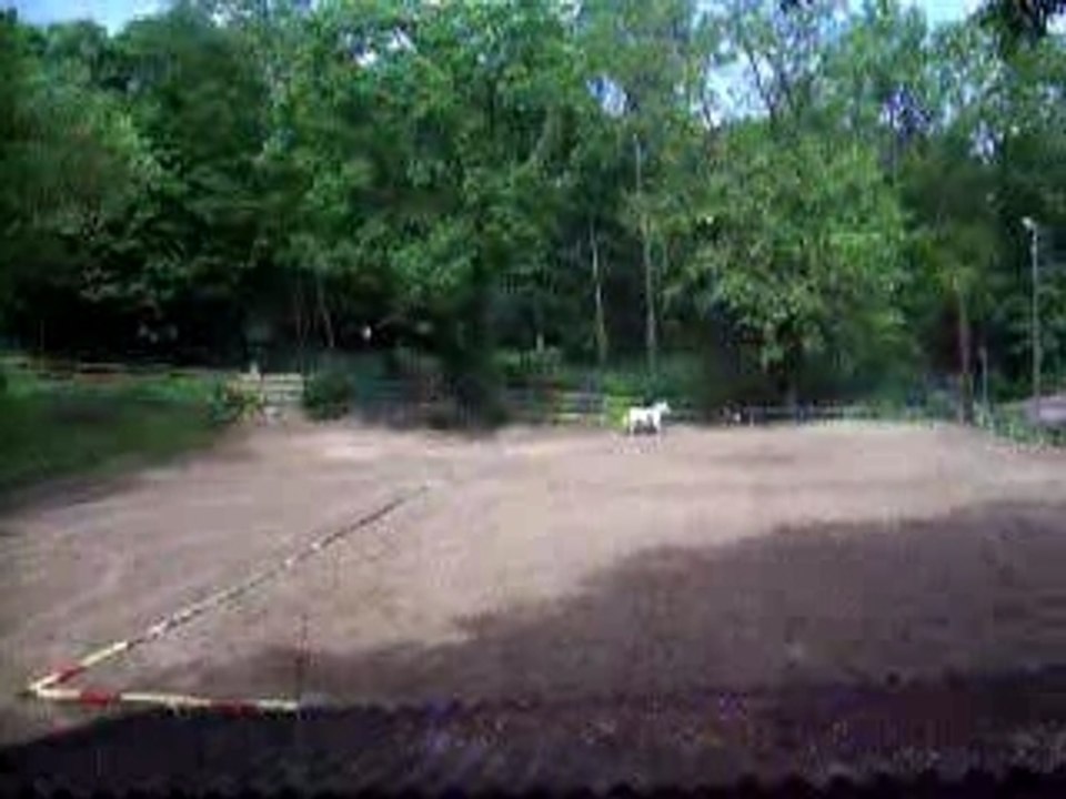 1er concours de dress ac mon fanfan