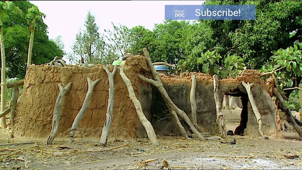 Magical World of Ivory Coast   World Curiosities - Planet Doc Full Documentaries