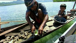 Ghosts of Sulawesi   World Curiosities - Planet Doc Full Documentaries