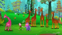 Finger Family Giraffe   ChuChu TV Animal Finger Family Nursery Rhymes Songs For Children