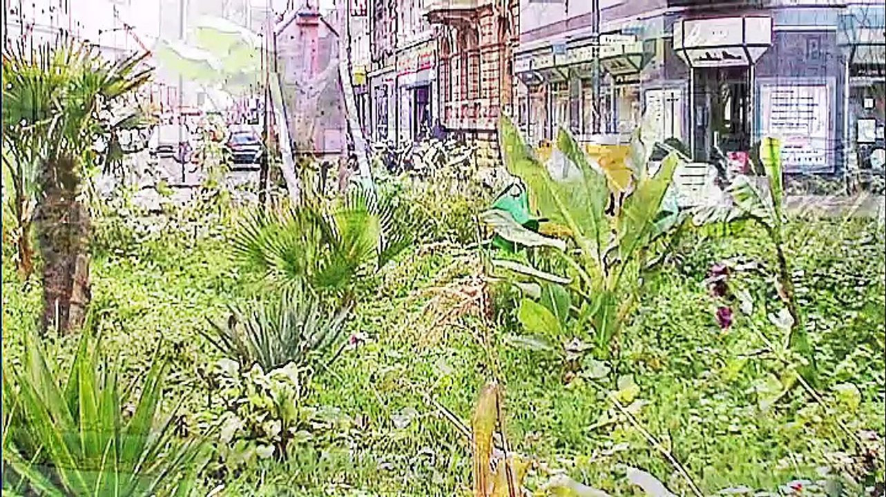 Kreisverkehre in Köln – 01