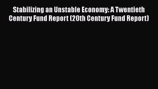 Stabilizing an Unstable Economy: A Twentieth Century Fund Report (20th Century Fund Report)