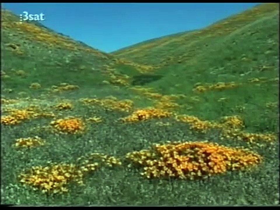 Sogobi - James Benning, 2001 DocumentalPART2
