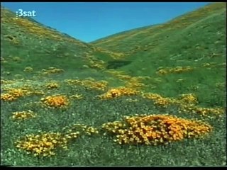 Sogobi - James Benning, 2001 DocumentalPART2