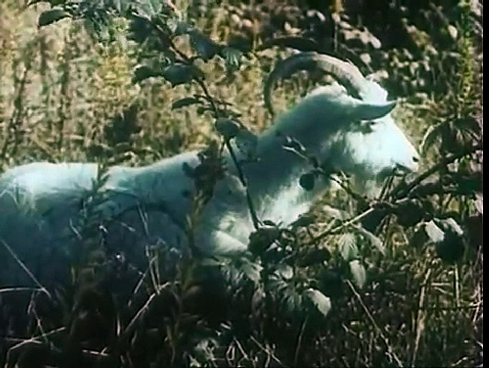Tropoy beskorystoy lyubvi - Agasi Babayan, 1972 VOSE