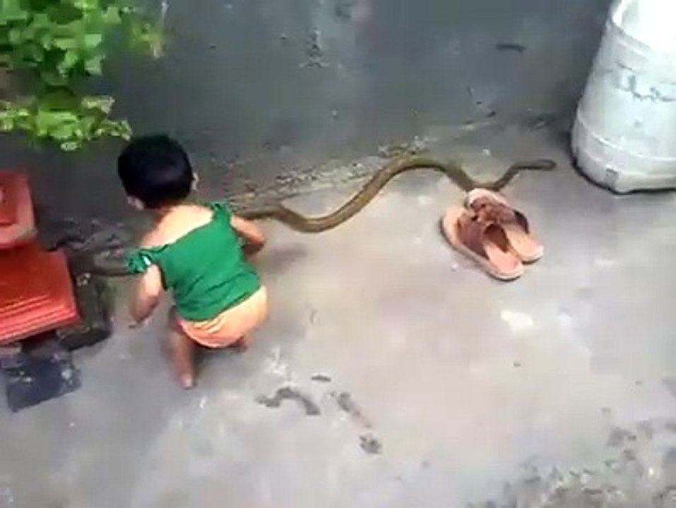 pappy play withe Snake