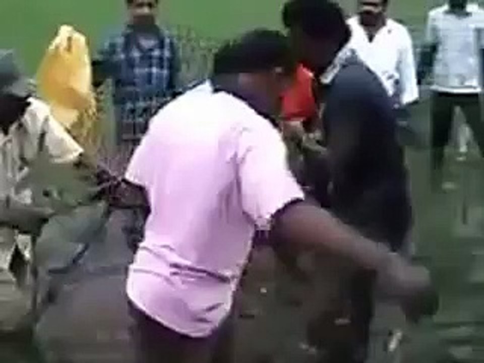 WhatsApp Best Funny Videos