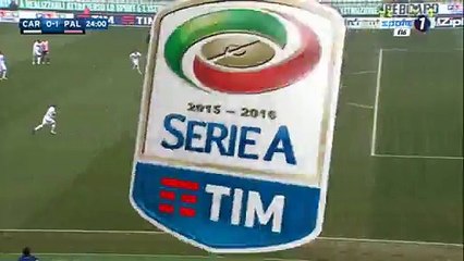 Carpi 1-1 Palermo - All Goals - 30-01-2016  HD