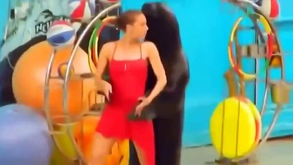 Аха,вот это класс! Стоить посмотреть