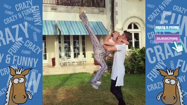 Top Viners: Lele Pons Vine Compilation - Best Vines 2016 - 2015