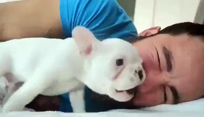 Çalar Saatten Bile Daha Etkili