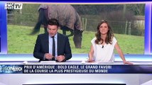 Prix d'Amérique : Bold Eagle, le grand favori