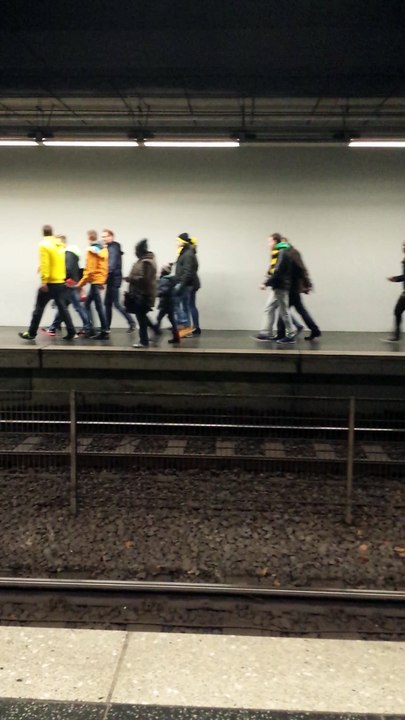 Bvb fans