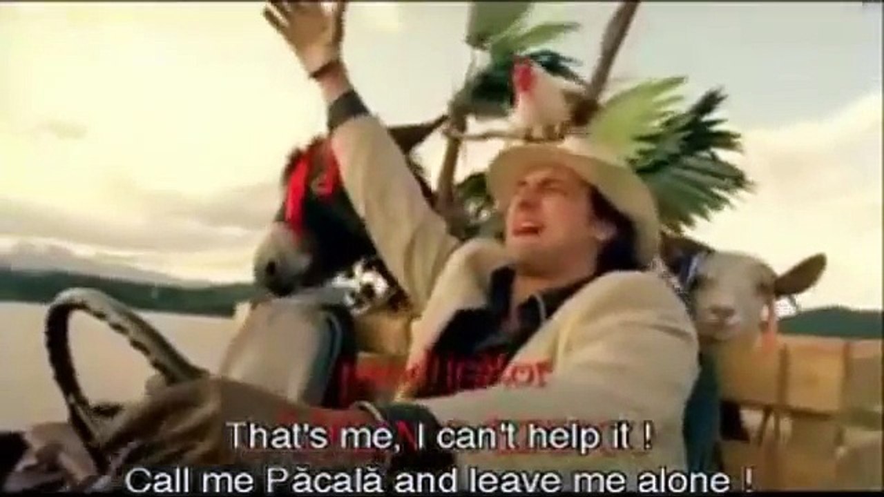 Păcală se întoarce (2006)