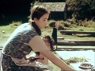 Fructe de padure 1983