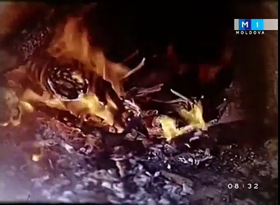 Moara 1990