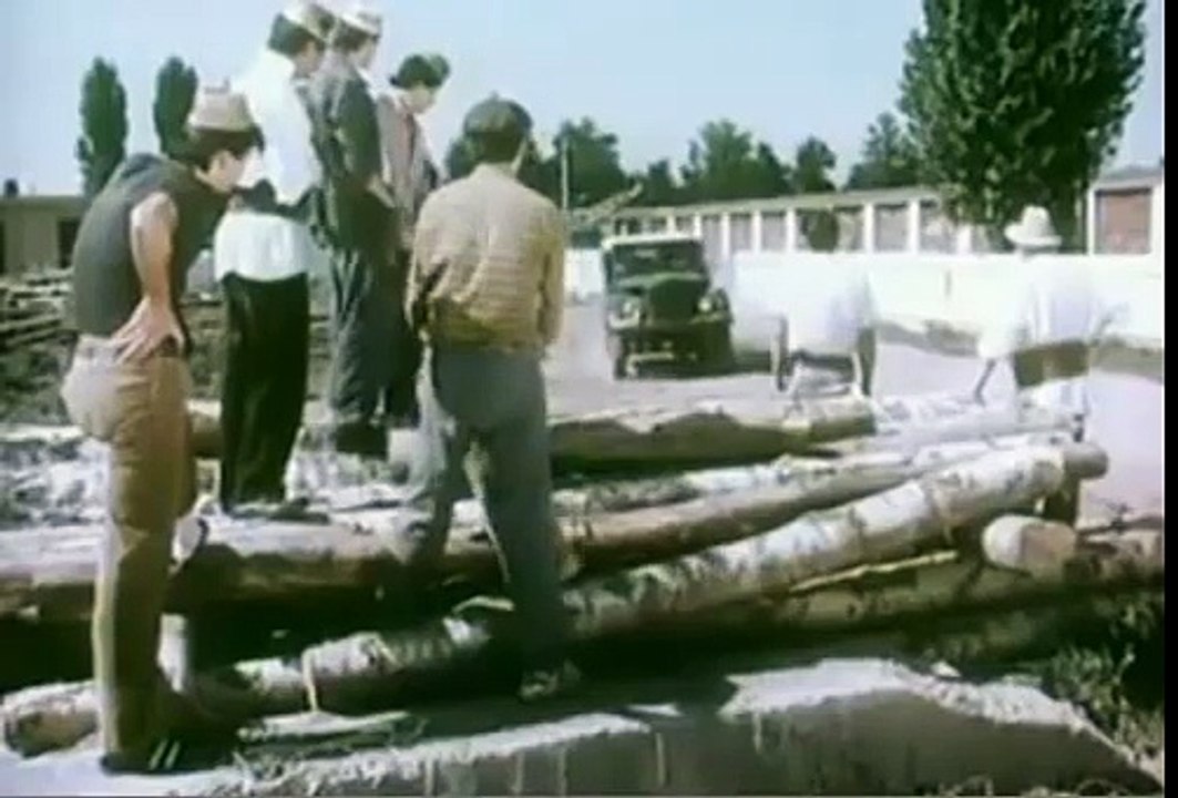 O vară cu Mara (1988)