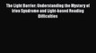 The Light Barrier: Understanding the Mystery of Irlen Syndrome and Light-based Reading Difficulties