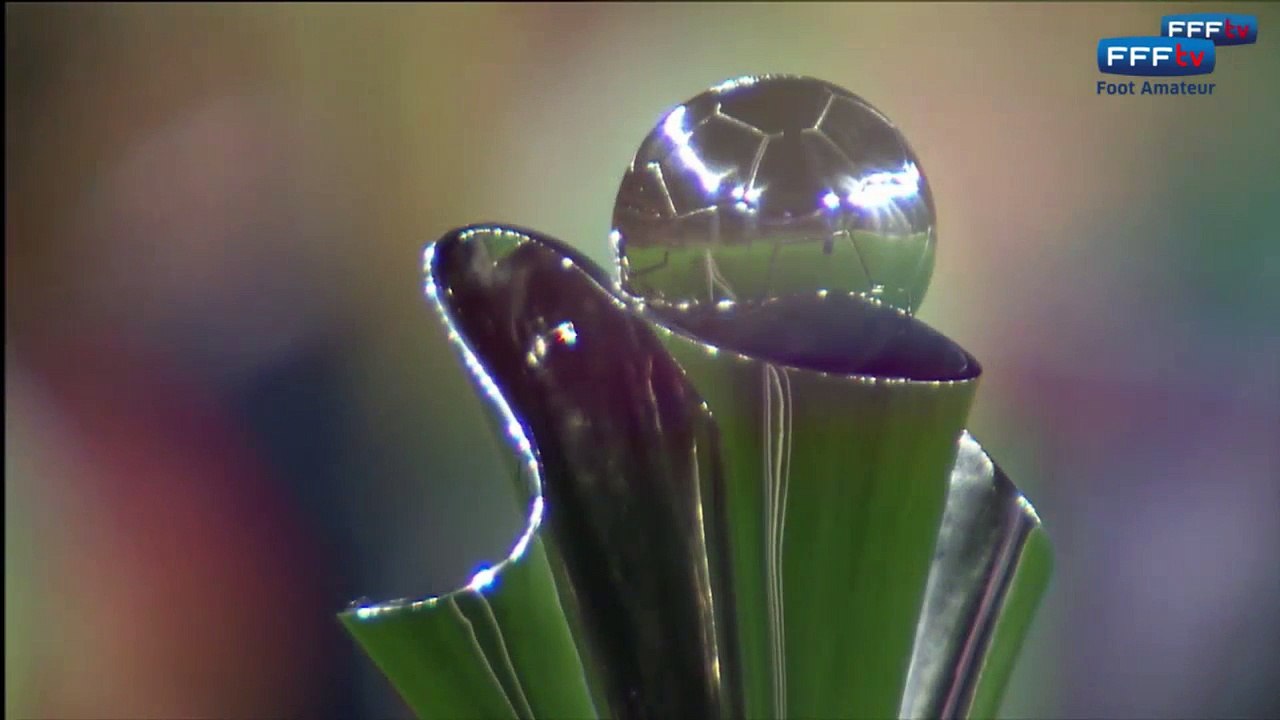 Samedi 30 janvier 2016 à 17h45 - Le Poiré sur Vie VF - Toulouse FC - 1/32èmes de finale Coupe Gambardella-Crédit Agricole